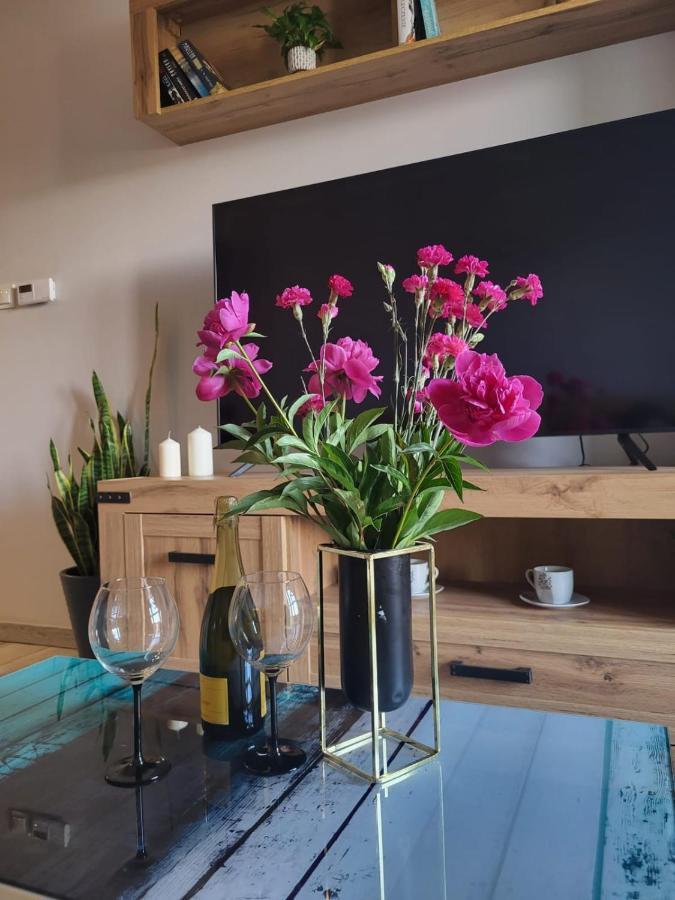 Apartament Perelka Jelenia Góra Extérieur photo